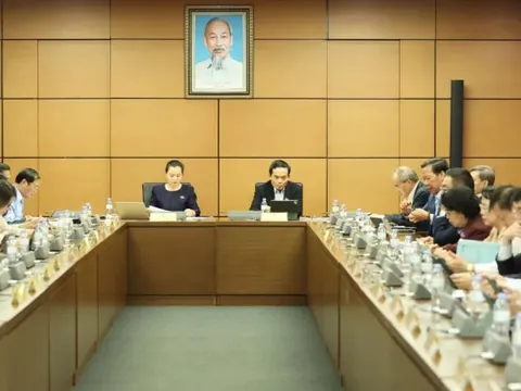 Đại biểu Quốc hội kiến nghị làm rõ tiêu chí mất khả năng thanh toán, các khoản nợ đến hạn