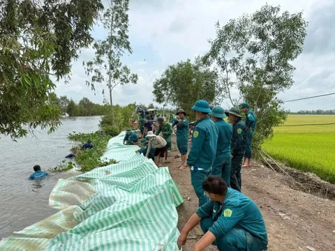 Nước lũ dâng, An Giang huy động dân quân đắp đập, gia cố đê bảo vệ lúa