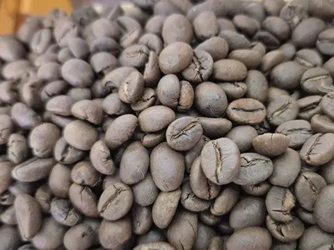 Giá cà phê hôm nay 30-10: Bật tăng cao vút, khắp nơi đua nhau trồng cà phê