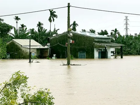 Khi những tấm lòng được kết nối
