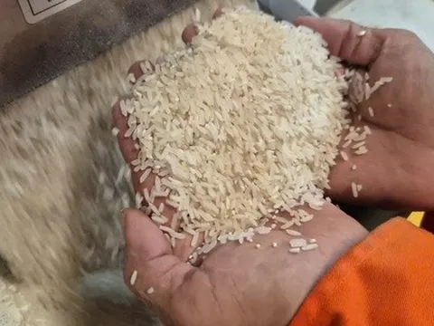 Những loại gạo nào có cơ hội ở thị trường nhập khẩu gạo tới 90%?