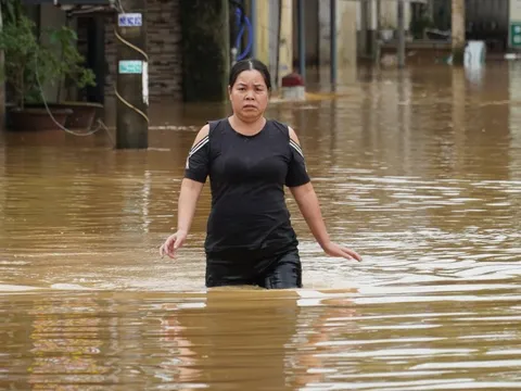 Đà Nẵng yêu cầu làm tốt phương châm ‘4 tại chỗ’ chống bão Kalmaegi