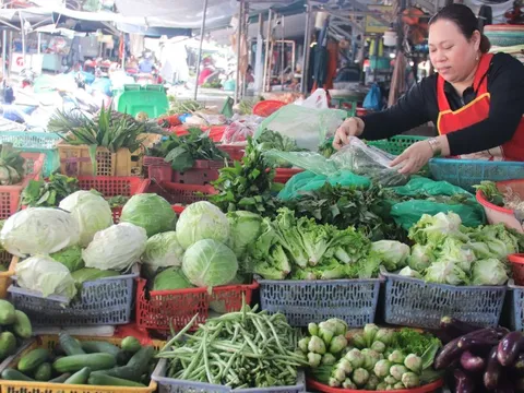 Đà Nẵng: Giá rau xanh leo thang sau mưa lũ