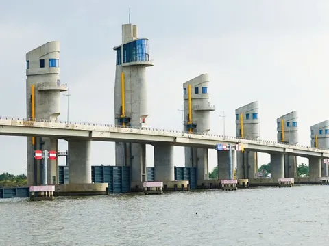 Đóng 9 đến 11 van cống Cái Lớn - Cái Bé để điều tiết nước, hạn chế ngập úng do triều cường