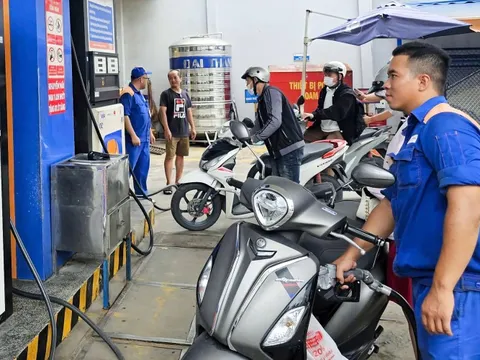 Tin tức sáng 7-11: Đại gia xăng dầu miền Tây có doanh thu 0 đồng