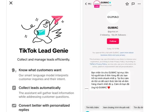 Chatbot AI trong tin nhắn của TikTok có tác dụng gì?