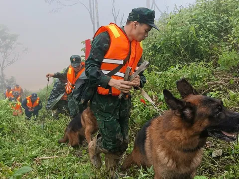 Huy động chó nghiệp vụ lùng sục tìm 3 nạn nhân nghi bị vùi lấp trong sạt lở ở Đà Nẵng