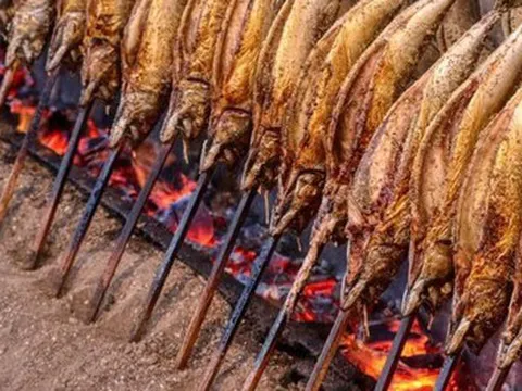 Một 'mỏ vàng' của Việt Nam được Trung Quốc tích cực săn lùng: thu về hàng tỷ USD, cả thế giới nuôi nhưng chỉ nước ta tạo ra ngành công nghiệp