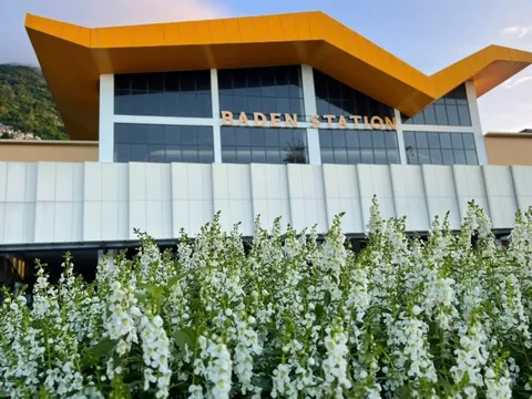 Chính quyền số phục vụ hơn 3,2 triệu dân Tây Ninh