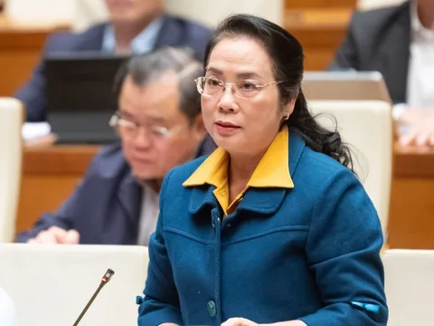 Đại biểu Quốc hội đề xuất miễn giảm thuế thu nhập cá nhân với vợ chồng sinh đủ hai con