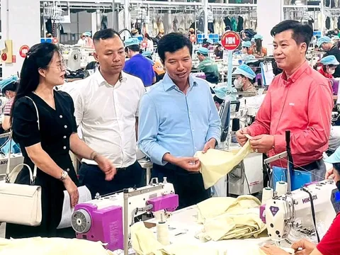 Hội Doanh nhân trẻ Việt Nam sẽ đào tạo 10.000 CEO và chuyển đổi 50.000 hộ kinh doanh