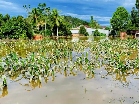 Đồng Nai đề nghị Lâm Đồng phối hợp cung cấp thông tin xả lũ các hồ thủy điện