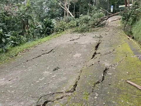 Quả đồi nứt toác, sạt lở nhiều mảng lớn, hàng chục hộ dân Đắk Lắk phải di dời