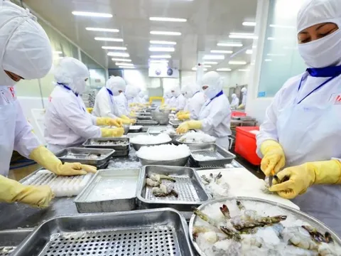 Xuất khẩu thủy sản dự báo cao nhất từ trước đến nay