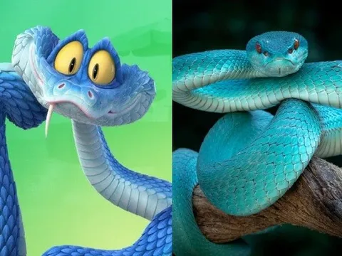 Nhiều người đổ xô đi tìm mua rắn độc sau "cơn sốt" Zootopia 2