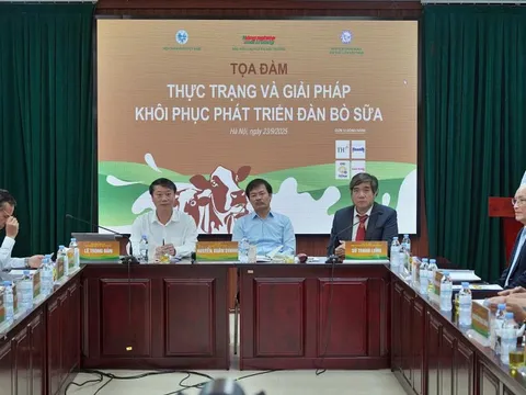 Nghịch lý ngành sữa: Chế biến bùng nổ nhưng quy mô lao dốc