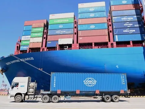 Bộ Công Thương vào cuộc "giải cứu" gần 500 container chè mắc kẹt tại Pakistan