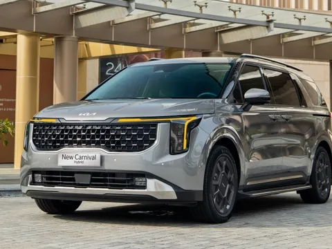 New Carnival – Định hình phong cách sang trọng và đẳng cấp theo gu thẩm mỹ của khách hàng