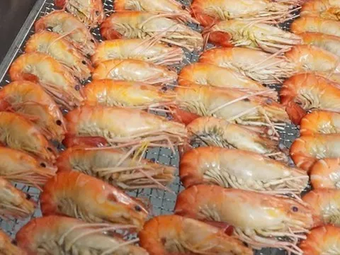 "Con tôm ôm cây lúa" bán 1 triệu đồng/kg nhờ bí quyết này