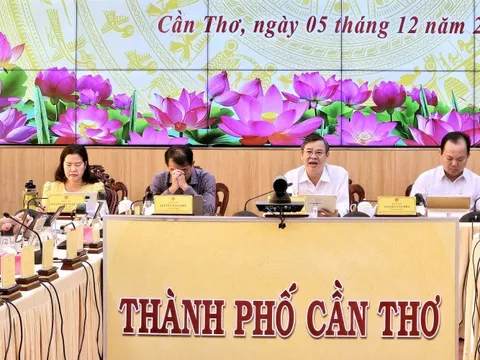 Chủ tịch Cần Thơ phân công từng thành viên UBND thành phố theo dõi 103 xã, phường