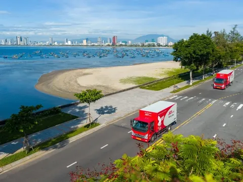 Hành trình thầm lặng phía sau mỗi tổ yến