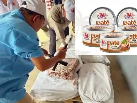 Vụ bê bối Công ty CP Đồ hộp Hạ Long: Phát hiện virus dịch tả lợn châu Phi cả ở thành phẩm